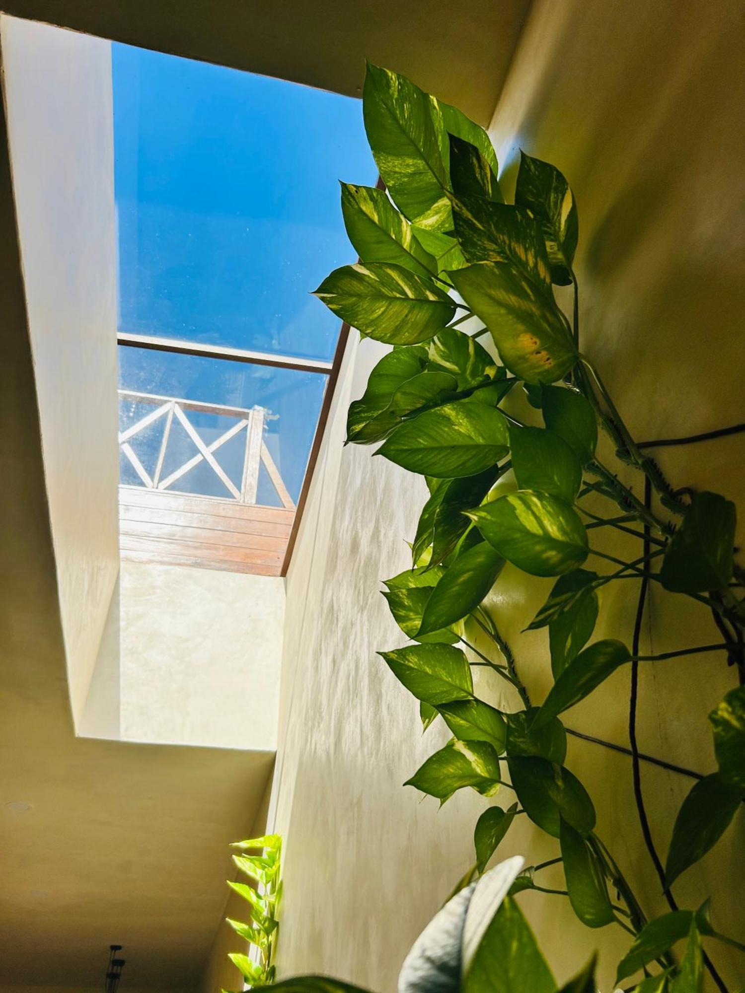 Sunsteps Casa Holbox Lejlighed Eksteriør billede
